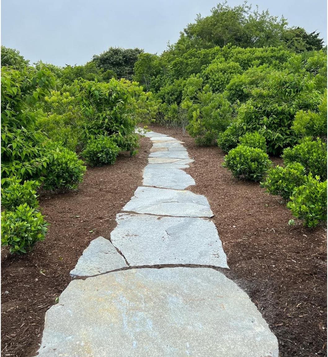 Flagstone garden path